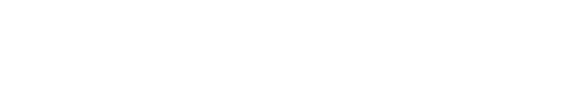 Logo net-inout
